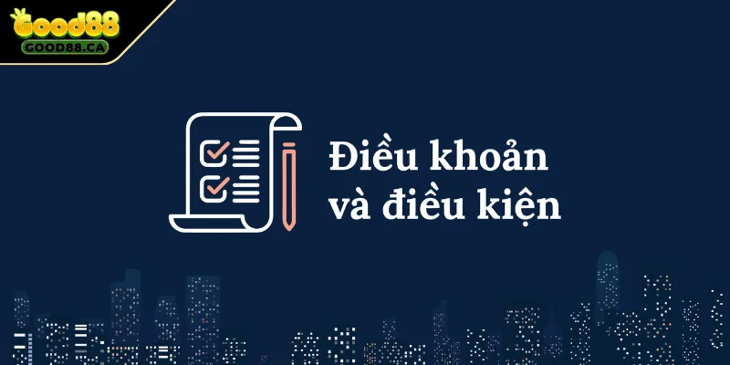 Khám phá vài nét về điều khoản điều kiện
