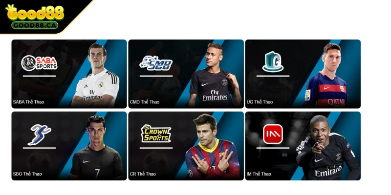 Lý do bạn nên lựa chọn thể thao tại địa chỉ