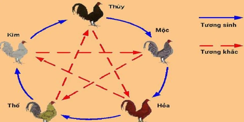 Màu mạng gà đá dựa theo quan niệm phong thủy ngũ hành